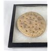 Image 2 : 1880s Naval Hard Tack Biscuits