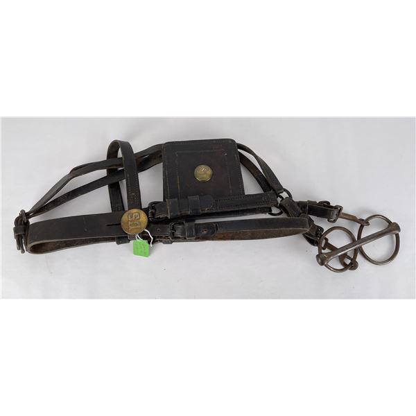 Spanish American War US Cavalry Bridle