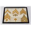 Image 1 : 1902 US Cavalry White Stable Coat Chevrons
