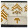 Image 3 : 1902 US Cavalry White Stable Coat Chevrons