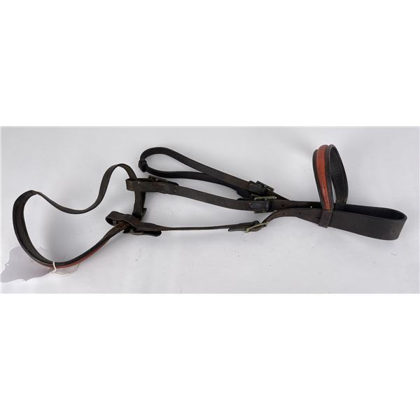 US Artillery Mexican Border War Period Bridle