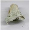 Image 4 : WW2 US Army Ruler