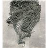 Image 7 : WW2 Vehicle Camo Netting