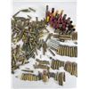 Image 6 : Huge Ammo Shell Collection