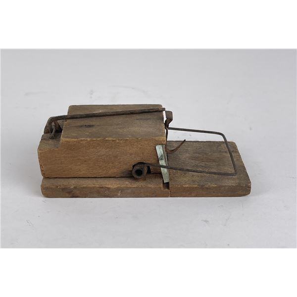 Phoenix Mirror Mouse Trap New Jersey