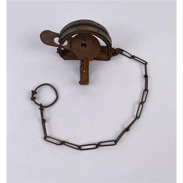 Briddell Cushin Grip Animal Trap No 1