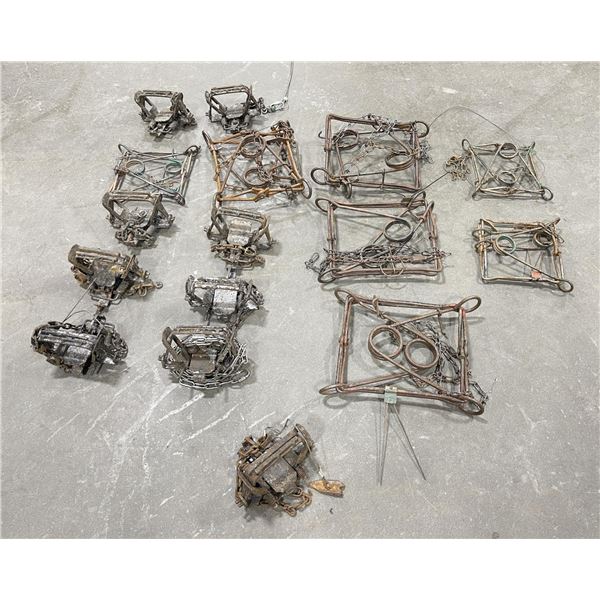 Modern Animal Wolf Traps Conibear