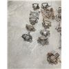 Image 4 : Modern Animal Wolf Traps Conibear