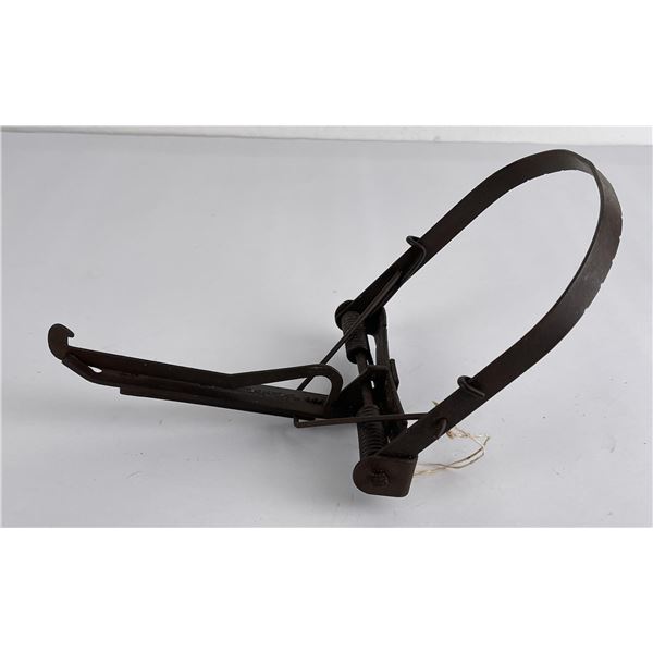 Newhouse No 2 Tree Animal Trap Marten