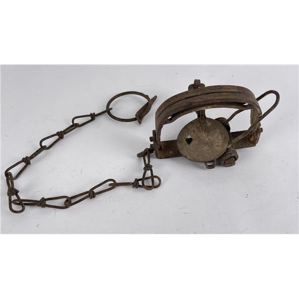 Diamond Brand 31 1/2 Animal Trap