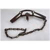 Image 1 : US Standard Animal Trap Gibbs No 3
