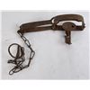 Image 3 : Diamond Brand 21 Long Spring Animal Trap