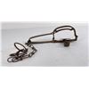 Image 4 : Diamond Brand 21 Long Spring Animal Trap