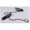 Image 1 : Pair of Victor ATC Gopher Traps