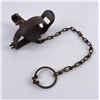 Image 1 : Scarce Gibbs King Bee Jump Trap