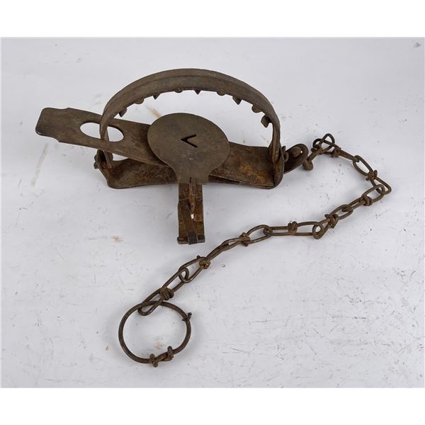 Oneida Victor Jump Coyote Trap w/ Teeth