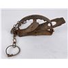 Image 1 : Oneida Victor Jump Coyote Trap w/ Teeth
