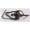 Image 4 : Victor Two Trigger Animal Trap