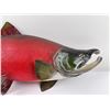 Image 3 : Large Taxidermy Sockeye Salmon Fish Mount