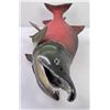 Image 8 : Large Taxidermy Sockeye Salmon Fish Mount