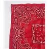 Image 2 : Deadstock Trunk Up Fast Color Cowboy Bandana