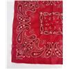 Image 3 : Deadstock Trunk Up Fast Color Cowboy Bandana