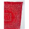 Image 8 : Deadstock Trunk Up Fast Color Cowboy Bandana