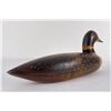 Image 5 : CAP Wood Loon Decoy