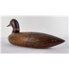 Image 7 : CAP Wood Loon Decoy