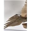 Image 8 : Montana Taxidermy Pheasant Mount
