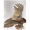 Image 9 : Montana Taxidermy Pheasant Mount
