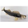 Image 12 : Large Montana Taxidermy Walleye Fish Mount