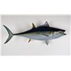 Image 1 : Yellowfin Tuna Taxidermy Mount
