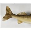 Image 4 : Large Montana Taxidermy Walleye Fish Mount