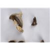 Image 8 : Lot of Alaskan Souvenir Fur Seals