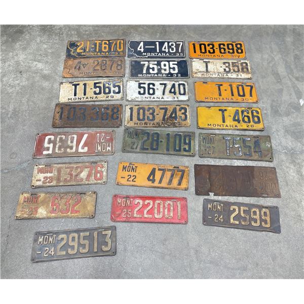 Group of Montana License Plates