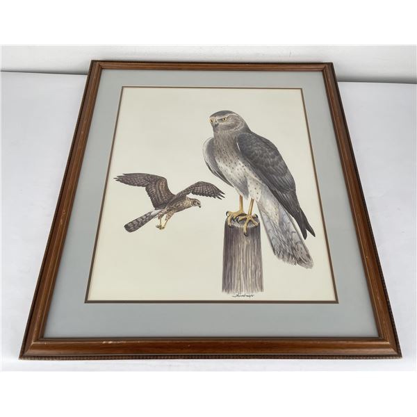 Joe Thornbrugh Montana Red Tail Hawks Painting