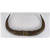 Image 1 : Pair of Water Buffalo Horns