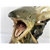 Image 14 : Powell Swanser Trout Wood Carving Lifesized