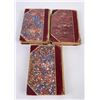 Image 8 : Appletons Town Country Library Leather Bound Books