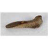 Image 1 : Montana Elk Horn Indian Hide Scraper
