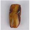 Image 1 : Baltic Amber Brooch