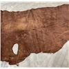 Image 10 : Tanned Buffalo Leather Hide 80" Long