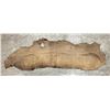 Image 1 : Tanned Buffalo Leather Hide 80" Long