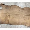 Image 3 : Tanned Buffalo Leather Hide 80" Long