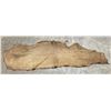 Image 1 : Tanned Buffalo Leather Hide 90" Long