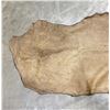Image 2 : Tanned Buffalo Leather Hide 90" Long