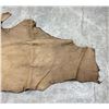 Image 5 : Tanned Buffalo Leather Hide 90" Long