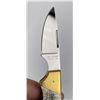 Image 13 : Kershaw Scrimshaw 3 Knife Boxed Set