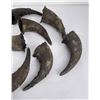 Image 2 : Lot of Buffalo Horn Caps